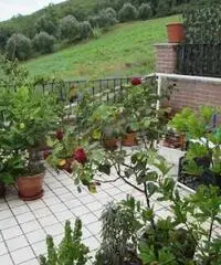 Appartamento a Colonnella