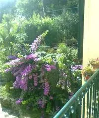 Appartamento in Vendita di 145mq