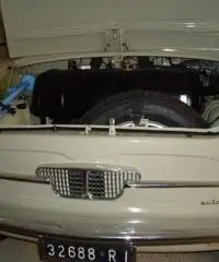 Bianchina special tg oro