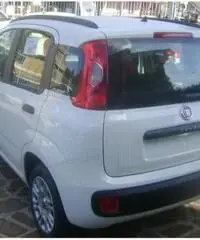 Fiat Panda 1.2  EASY NUOVA UFFICIALE FIAT