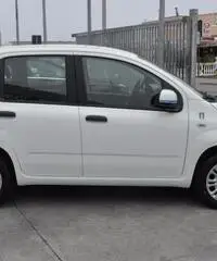 FIAT Panda 1.2 Pandazzurri NUOVA - PREZZO PROMO!!! rif. 7189506