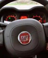 FIAT Panda 1.2 Pandazzurri NUOVA - PREZZO PROMO!!! rif. 7189506