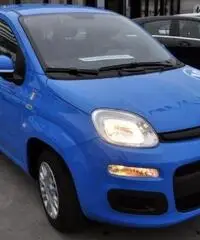 FIAT Panda 1.2 Pandazzurri NUOVA - PREZZO PROMO!!! rif. 7189508