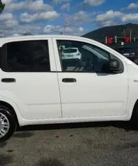 FIAT Panda 1.3 MJT S&S Pop  clima rif. 7175603