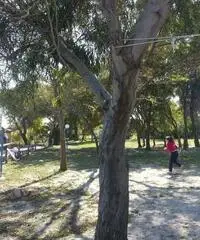 Affitto casa al mare