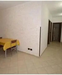 Grazioso bilocale ristrutturato ed arredato