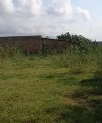 GIOIA TAURO VENDE: Terreno agricolo zona lungomare sud