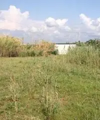 GIOIA TAURO VENDE: Terreno agricolo zona lungomare sud