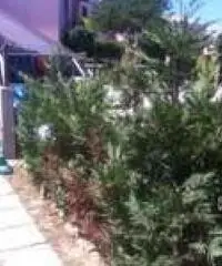 Villa di 3 locali in Vendita