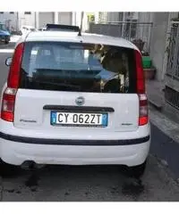 FIAT Panda 1.3 MJT 16V Dynamic rif. 7162296
