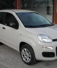 FIAT Panda 1.2 Easy rif. 5989996