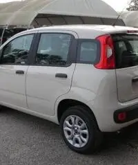 FIAT Panda 1.2 Easy rif. 5989996