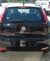 FIAT Punto 1.4 8V 5 porte Easypower Street rif. 5980227