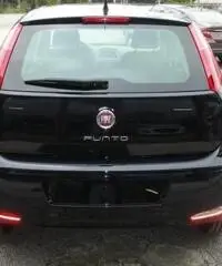 FIAT Punto 1.4 8V 5 porte Natural Power Street rif. 5990013