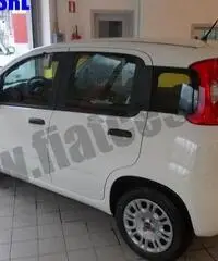 FIAT Panda 1.2 Easy rif. 7012439