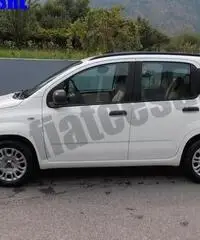 FIAT Panda 1.2 EasyPower Easy rif. 6558608