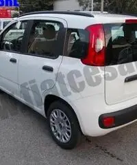 FIAT Panda 1.2 EasyPower Easy rif. 6828482