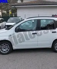 FIAT Panda 1.2 EasyPower Easy rif. 6828482
