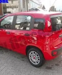 FIAT Panda 1.2 Pandazzurri rif. 6615248