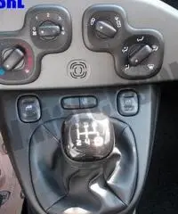 FIAT Panda 1.2 Pandazzurri rif. 6615248