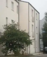 Appartamento di 2 locali in Vendita