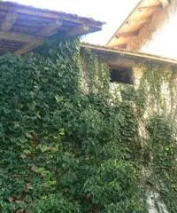 Porcia: Rustico Altro