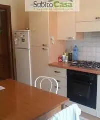 Appartamento in Affitto a 205