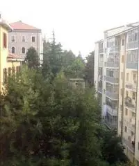 Appartamento in Affitto 150mq