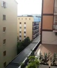 Appartamento in Affitto 150mq