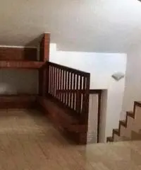 Potenza Affitto Appartamento