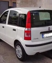 FIAT Panda 1.2 Active rif. 7196879