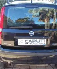 FIAT Panda 1.2 Dynamic Natural Power rif. 7195168