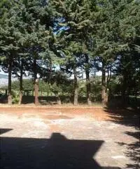 Appartamento in Affitto 120mq