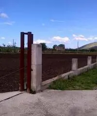 Terreno in Vendita 10000mq