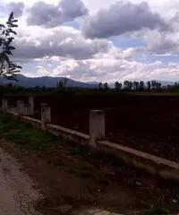 Terreno in Vendita 10000mq