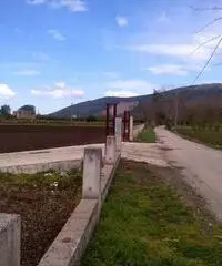 Terreno in Vendita 10000mq