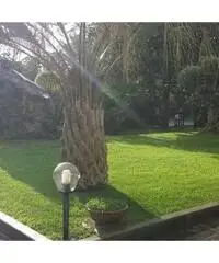 Appartamento a San Gennaro Vesuviano in provincia di Napoli