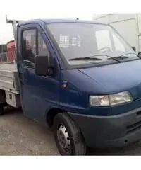 FIAT Ducato CASSONE FISSO
