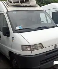 FIAT Ducato FURGONE