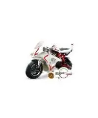 Minimoto GP Trofeo 50 cc
