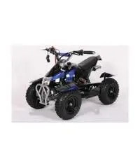 Miniquad Cobra 50cc E-Start R6