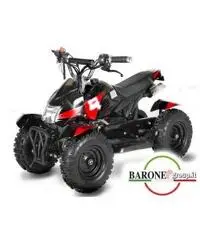 Miniquad Cobra 50cc E-Start R6