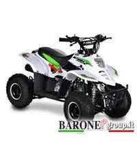 Quad Bamboo 110cc R6