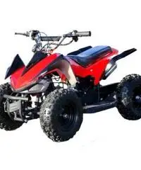 QUAD Monster R4