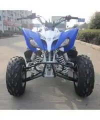 QUAD PANTERA ATV 250CC R10