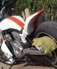 Harley Davidson V-Rod Muscle 1250cc Special Custom Unica