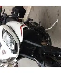 TRIUMPH Tiger Gran Turismo cc 1050