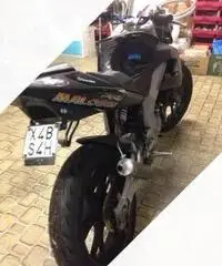 Derbi 50 gpr nude come pezzi