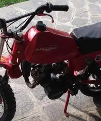 HRD MIX Minimoto cc 48