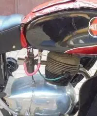 GILERA Arcore 150 TURISMA SPORT